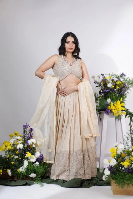 Chic Embroidered Draped Lehenga with Sleeveless Blouse